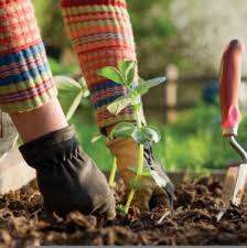 Hobi Bahçesi Elektrik Projesi