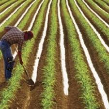 Tarımsal Sulama Elektrik Projesi